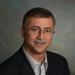 Professor of Religion Mehdi Aminrazavi