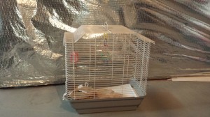 20131006_112842-birdcage