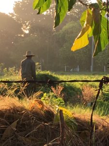 Professor of History and American Studies Krystyn Moon recently co-authored two articles on central Cuba.